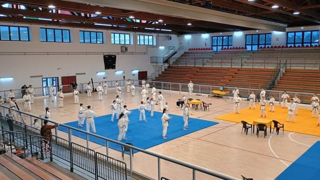 МІЖНАРОДНИЙ СЕМІНАР З РЮКЮ КОБУДО 25 ЖОВТНЯ 2024, ІТАЛІЯ