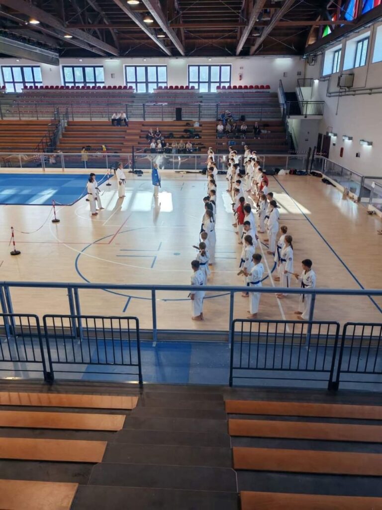 МІЖНАРОДНИЙ СЕМІНАР З РЮКЮ КОБУДО 25 ЖОВТНЯ 2024, ІТАЛІЯ