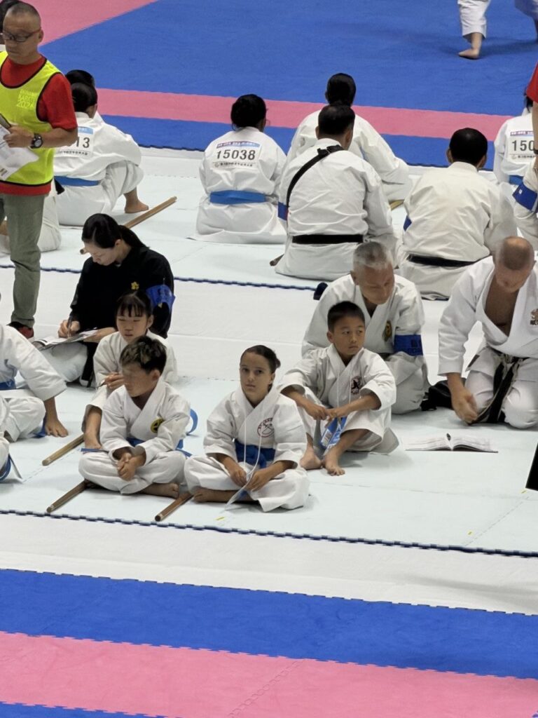 3й Всесвітній Фестиваль Окінава Карате 2026