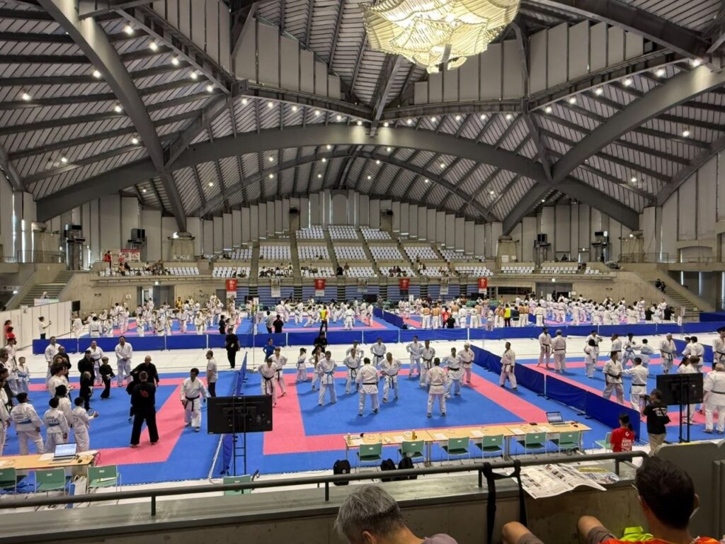 3й Всесвітній Фестиваль Окінава Карате 2026