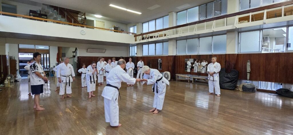 3й Всесвітній Фестиваль Окінава Карате 2026